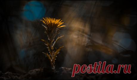 35PHOTO - iryna - Почему так грустно на душе?