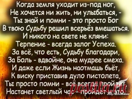 Золотые слова!