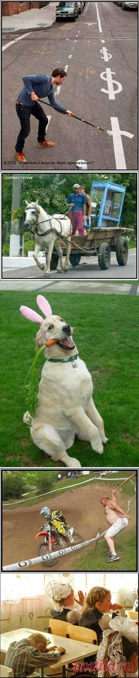 В СУББОТУ ВЕЧЕРОМ. Придумаем смешные подписи к фото - 2. | ПРИСТАНЬ ОПТИМИСТОВ