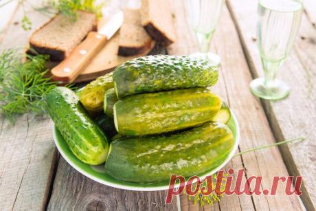 История соленого огурца и два традиционных рецепта 1909 года