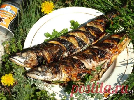 Скумбрия запечённая на мангале с лимоном и зеленью фото рецепт приготовления