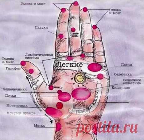 вена на ладони чешется и болит: 9 тыс изображений найдено в Яндекс.Картинках