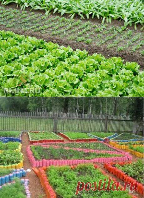 САДОВЫЙ ЛАНДШАФТНЫЙ ДИЗАЙН