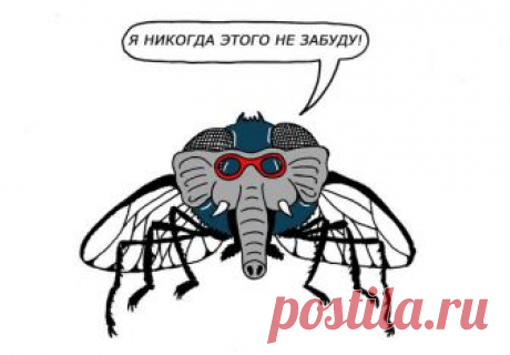 Русские выражения, которые очень приглянулись канадцу))
Русский язык – сложный, тут никто спорить не станет. Уйма правил и нюансов, а вдобавок ко всему есть много образов, совершенно непонятных иностранцу: пословицы, присказки, жаргон... Возьмите для прим…