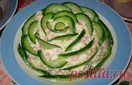 Салат «Изумрудный». Ветчина — 200 г
Яйцо — 3 шт.
Шампиньоны — 150 г
Сыр (пармезан) — 100 г
Лук репчатый — 1 шт.
Майонез
Соль
Огурец (для украшения) — 2 шт.