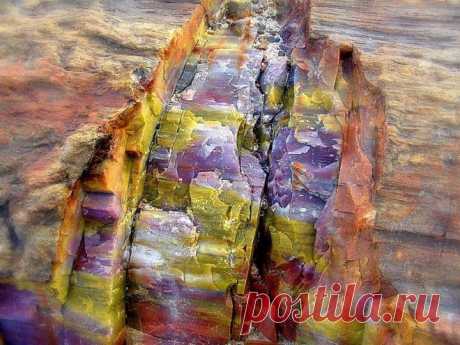 Окаменевший лес Аризоны - Путешествуем вместе