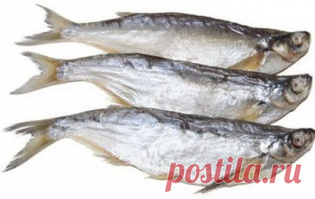 Как засолить таранку