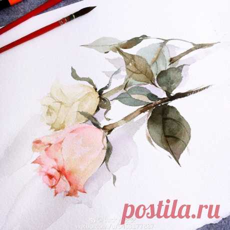 Рисуем розы акварелью
