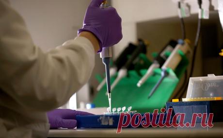 Ученые нашли еще один ключ к разгадке зарождения жизни во Вселенной. Ученым Самарского университета им. академика С.П. Королева впервые удалось синтезировать органическое соединение, играющее роль в процессе зарождения жизни, в условиях, приближенных к космическим.