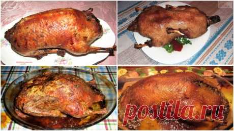 4 рецепта утки в духовке на Новый Год! Утка в рукаве в медово-соевом маринадеЛюбой праздничный стол украсит нежная и ароматная утка с золотистой хрустящей корочкой. Сегодня хочу предложить вам рецепт утки в рукаве в медово-соевом маринаде фаршированной рисом и овощами.Ингредиенты:— тушка утки – 2 кг.;— соевый соус...