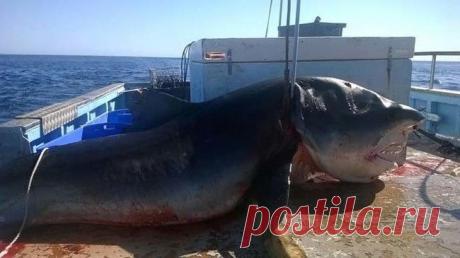 Этот рыбак рассчитывал на хороший улов, но пойманная добыча привела его в ужас...