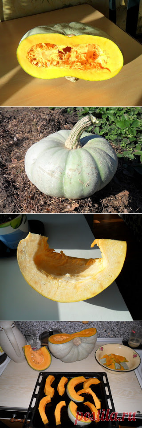 Вкусный Огород: Тыква июнь - сентябрь, фото