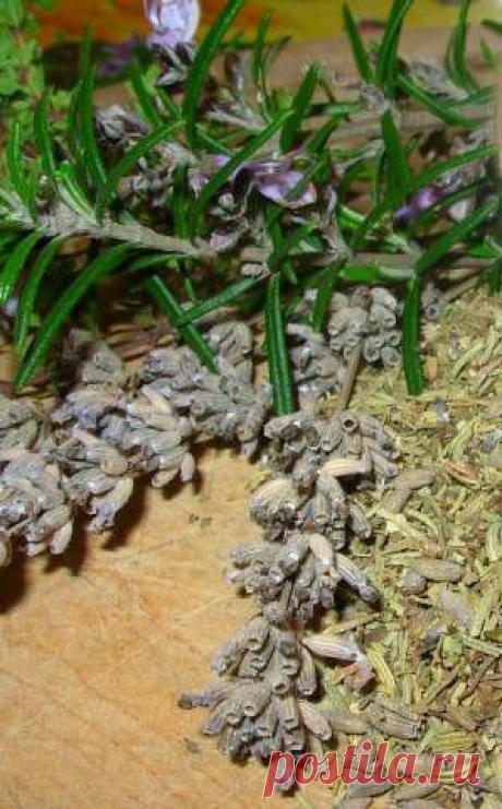 Травяные чаи для похудения. Нежелательный набор веса происходит по разным причинам: Неправильное питание, малоподвижный образ жизни