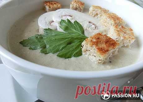 Суп-пюре из шампиньонов | passion.ru