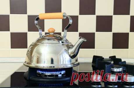 Как просто очистить чайник от накипи - мастер-класс - Леди Mail.Ru