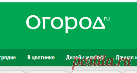 12 способов, как сделать горшочки для рассады своими руками | На грядке (Огород.ru)