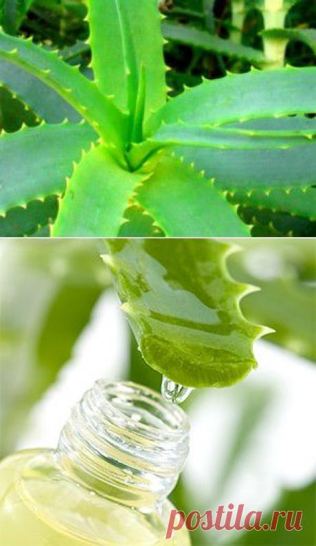 Маска из сока алоэ для зрелой кожи