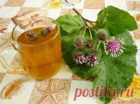 Польза лопуха в народной медицине Его сок применяют для лечения женских заболеваний. Избавляют от кист на матке и на яичниках, миом и прочих новообразований. Рецепт прост: сорвите свежие листья лопуха, помойте их и в мясорубку! Нам нужен сок лопуха, слейте его в отдельную емкость и уберите в холодильник. Пить...