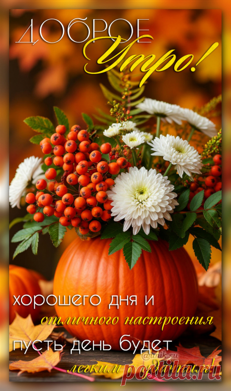 с добрым утром картинки красивые с пожеланиями