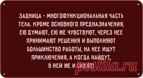 Смешные картинки, которые обязательно оценят остроумные женщины