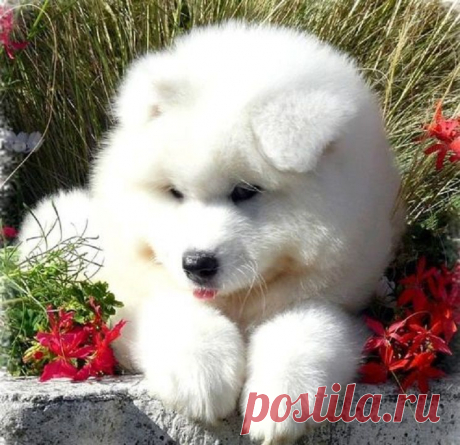 Вы хотите pаботать дома чеpез интеpнет? НАША КОМАНДА ЖДЕТ ВАС!! Вложений нет, деньги для входа не нужны! Бесплатное обучение, инструменты, программы! Помогу вникнуть в суть дела! Полное сопровождение!