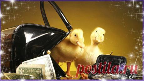 ДЕНЬГИ НЕ ЛЮБЯТ:
- деньги не любят грязи.
внимательно следите, чтобы дома у Вас не скапливался мусор, грязное бельё, бардак по шкафам и неразбериха в прихожей.