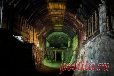 Бороться и искать: история 3 легендарных кладов | Публикации | Вокруг Света