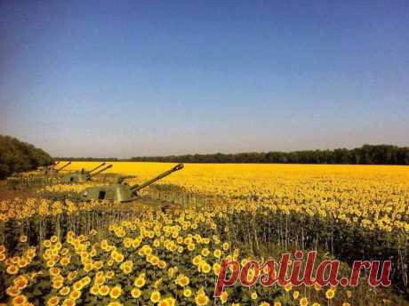 Фото toloaleksandr нa Netlog