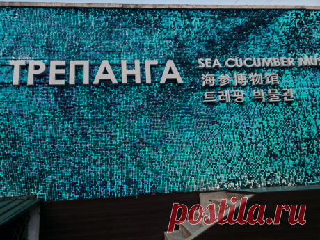 Музей трепанга