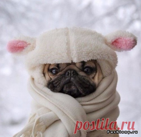 Шарфы, палантины, платки: аксессуары сезона