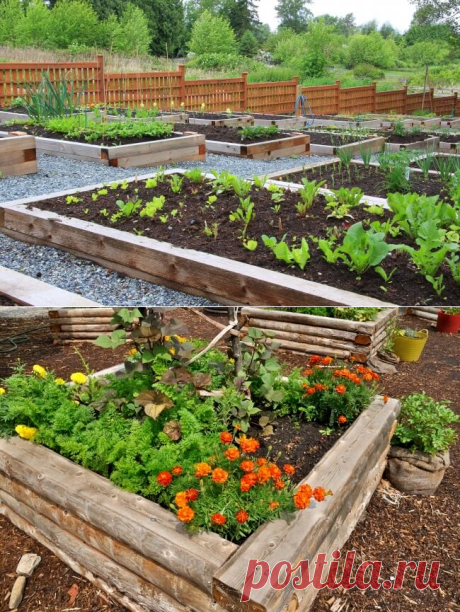 «ЛЕНИВЫЕ» ГРЯДКИ — ОРИГИНАЛЬНЫЕ ИДЕИ ДЛЯ ДАЧИ, О КОТОРЫХ МЕЧТАЕТ КАЖДЫЙ САДОВОД — Мир интересного