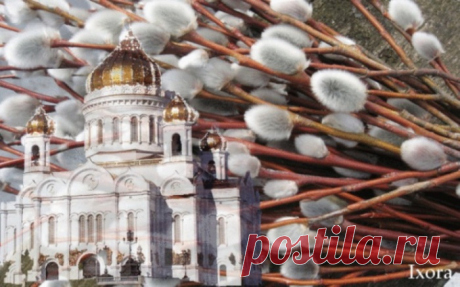 ЧТО НЕЛЬЗЯ ДЕЛАТЬ В ВЕРБНОЕ ВОСКРЕСЕНЬЕ.... Многих верующих интересует вопрос о том, что нельзя делать. в Вербное Воскресенье? Этот праздник имеет свои, особенные запреты, напрямую связанные с его историей. Перед тем, как ответить на вопрос о том, что нельзя делать в Вербное Воскресенье, нужно еще раз вспомнить, что это за праздник и чему...