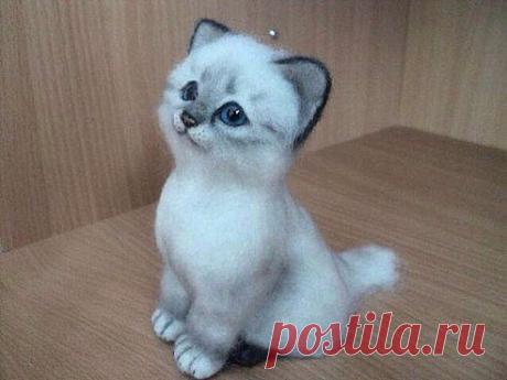 Какой красавец... )))