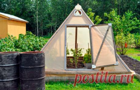Теплица пирамида: особое энергетическое поле и небывалый урожай