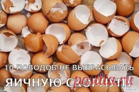 (89) Одноклассники