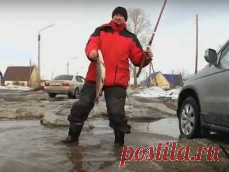 По Сибири. Проблемы разрушающихся дорог в Рубцовске. В лужах уже ловят рыбу (видео) - 8 Марта 2016 - Russia-Asia-Siberia