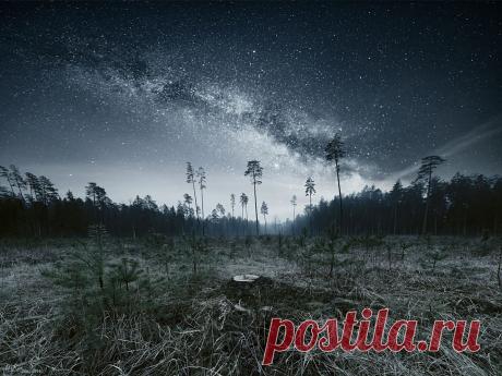 35PHOTO - Marius Kastečkas - Forest walk