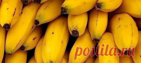 Чудо-еда: 15 щелочных продуктов, спасающих от лишнего веса, инфаркта и даже рака В...