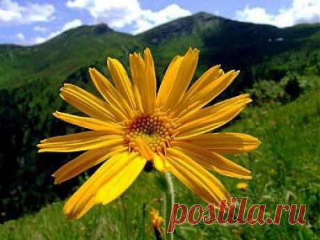 Боли в мышцах. Без таблеток...