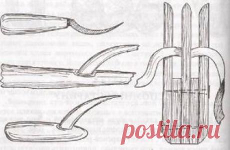 Липовое лыко | КолоЗвон.рф