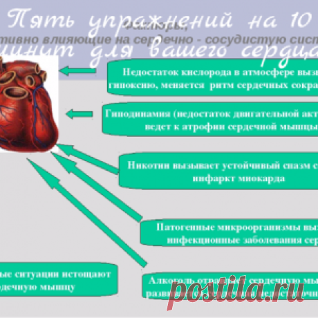 Пять упражнений на 10 минут для вашего сердца!
