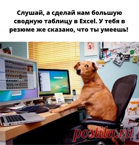 «Куда здесь нажимать-то?» — попробуйте лайфхаки из этой статьи, чтобы подружиться с Excel |... Читайте статью, чтобы сделать ваши отношения с Excel лучше! Мы расскажем о трех его простых функциях, которые сэкономят вам время и нервы.