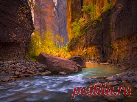 Фото природы от Марка Адамуса