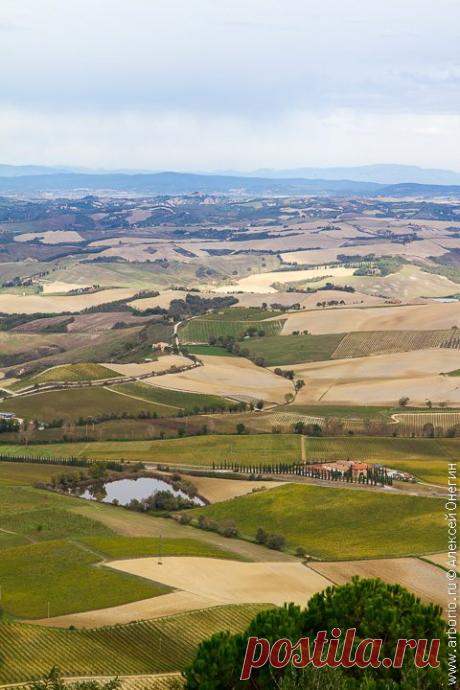 10 лучших блюд итальянской кухни