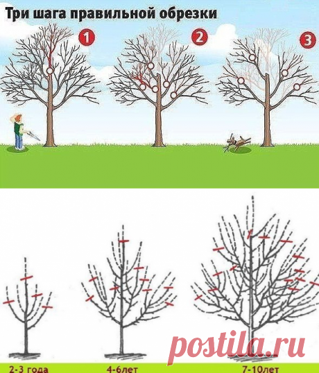 (4) Обрезка: mella_a_mm — ЖЖ