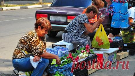 Начались рейды по выявлению незаконной уличной торговли | Будни юриста | Яндекс Дзен