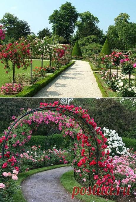 (67) Одноклассники