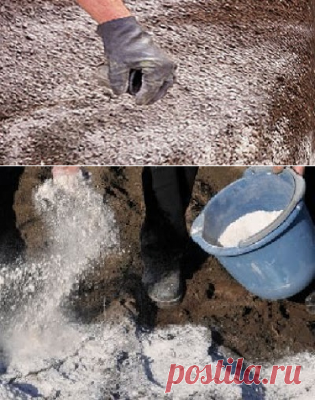 Дачное обозрение: Как улучшить почву на огороде