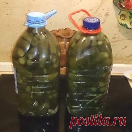 Соленые огурцы в пластиковой бутылке - как из бочки!