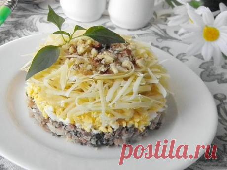 Слоеный салат с консервами. Салат с рыбными консервами и яйцом | Я Хозяйка